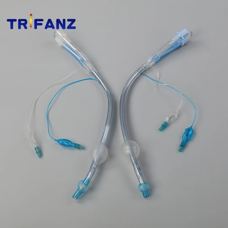 Bronchial Tube